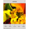 milcah Smart Phone site